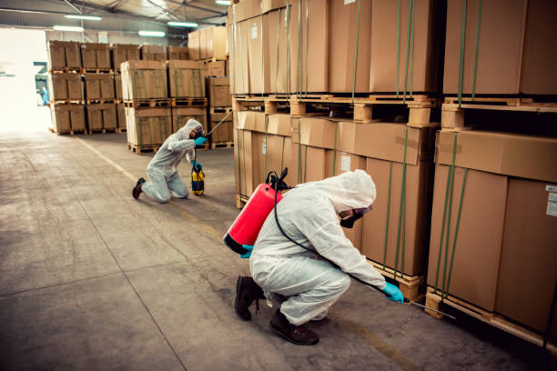 Best Mosquito Control Services  in Eagle Mountain, UT
