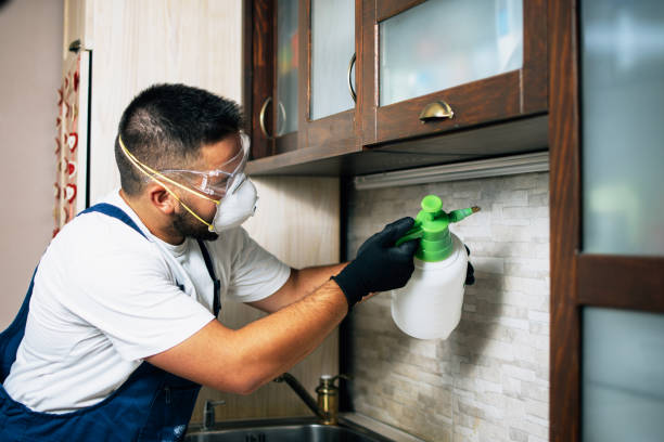  Eagle Mountain, UT Pest Control Pros