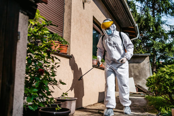 Best Pest Removal Services  in Eagle Mountain, UT