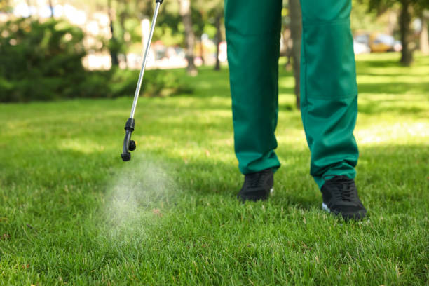 Pest Prevention Services in Eagle Mountain, UT