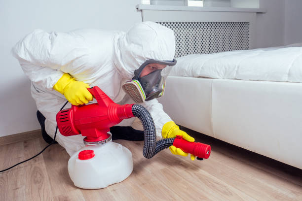 Best Emergency Pest Control  in Eagle Mountain, UT