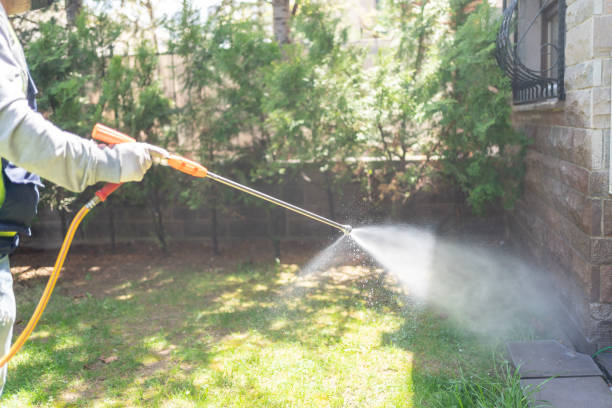 Best Best Pest Control Companies  in Eagle Mountain, UT
