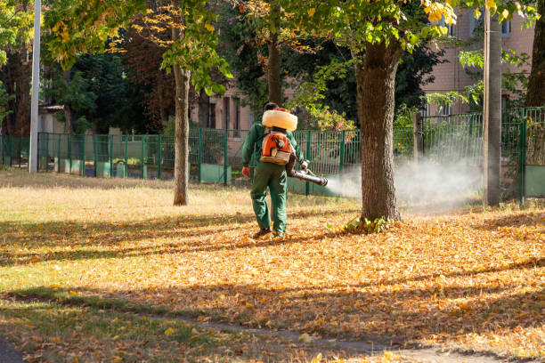 Wasp Removal Services in Eagle Mountain, UT