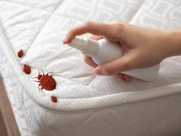 Best Insect Control  in Eagle Mountain, UT