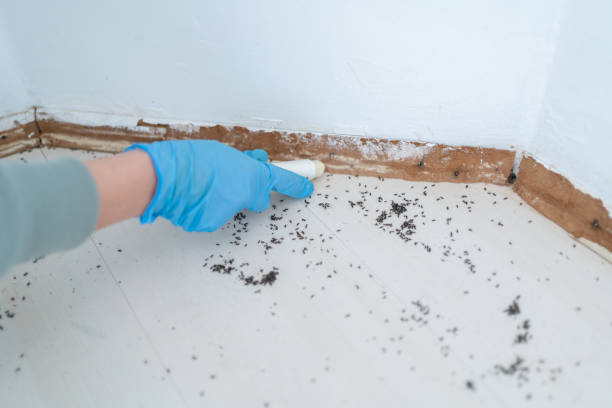 Best Wildlife Control Services  in Eagle Mountain, UT