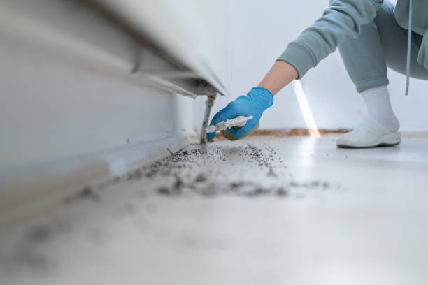 Best Local Pest Control Services  in Eagle Mountain, UT